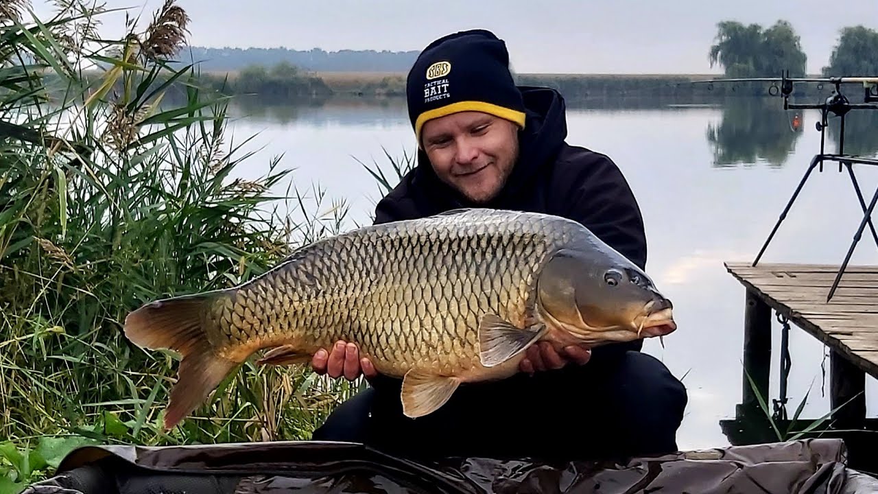 Látókép őszi behúzós horgászat az SBS Tactical Bait csalijaival