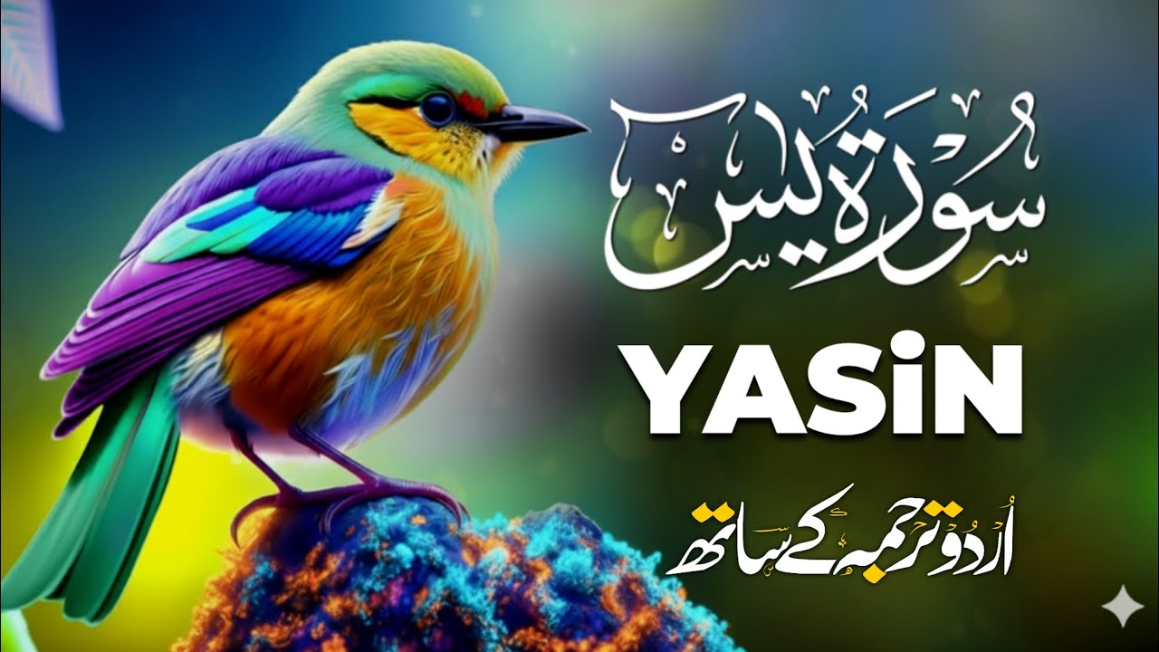 Surah Yaseen | Full Recitation With Urdu Translation | EP-105