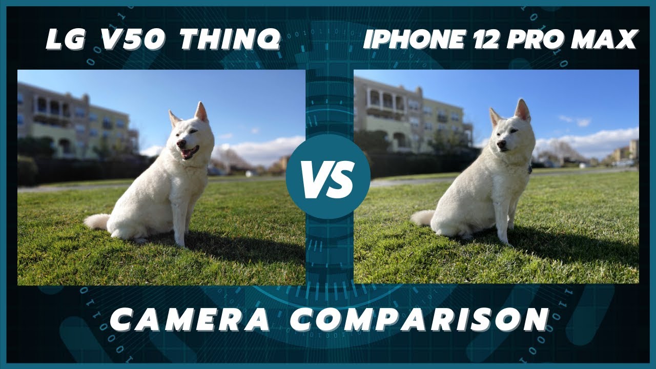 LG V50 ThinQ 5G vs iPhone 12 Pro Max Camera Comparison