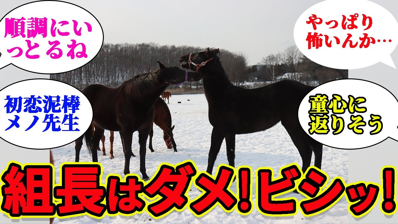 フェノーメノがリードホースとして奮闘！当時を振り返る！に対するみんなの反応集
