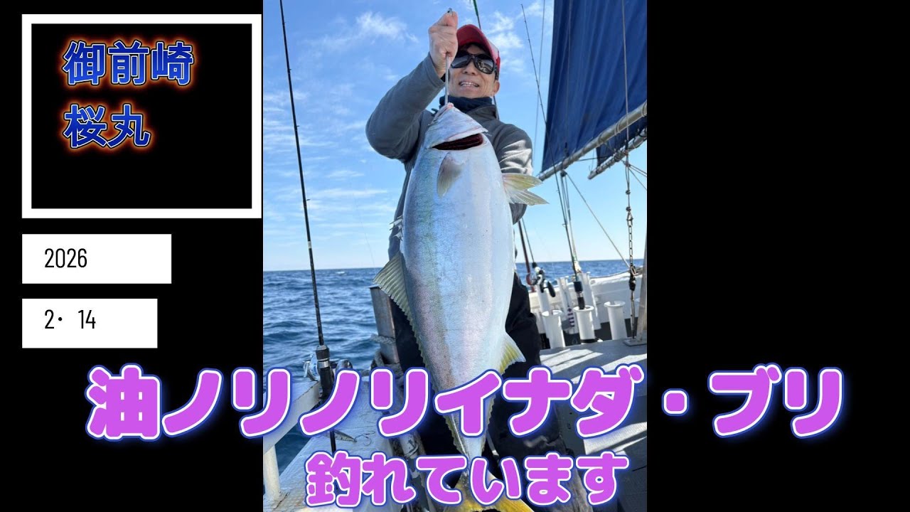 御前崎桜丸　近海ジギング　イナダ・ブリ釣れています