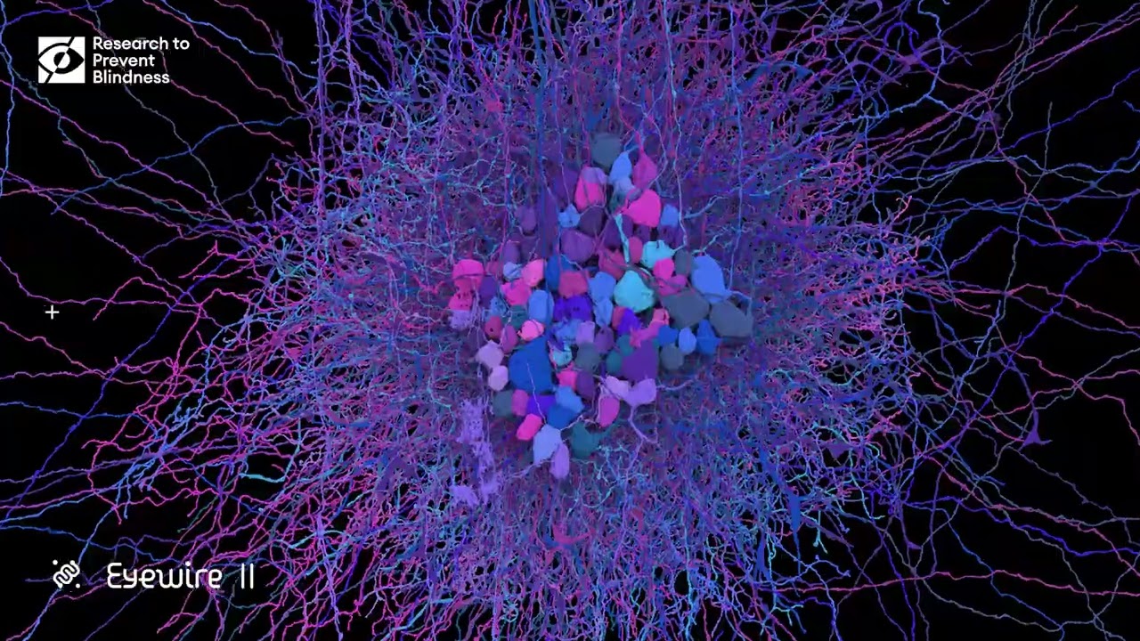 Eyewire II Made Possible by gift from Research to Prevent Blindness