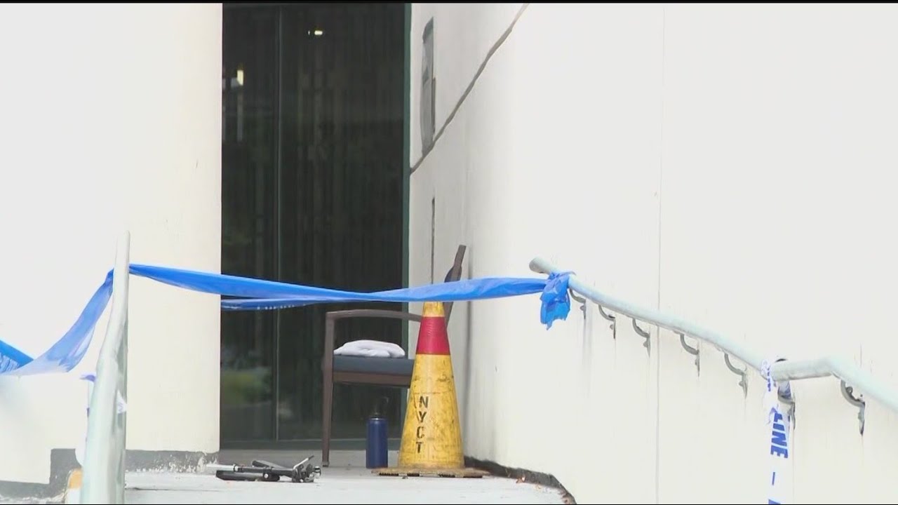 Woman, 89, beaten to death with metal piece of wheelchair: sources