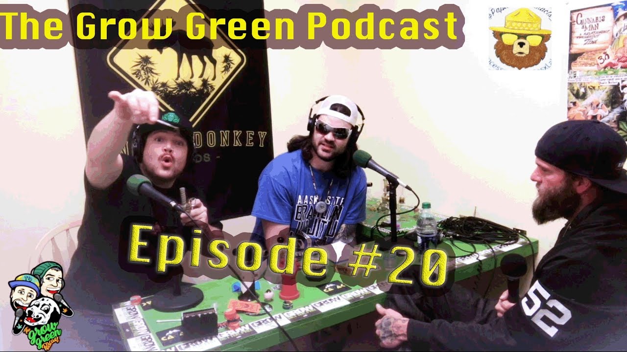 Grow Green Podcast #20 Papa Bear Extracts, Concentrates, shatter, wax, distillate, d8, Alaska