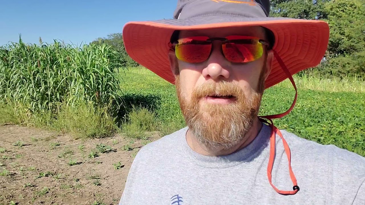 How to irrigate your food plot