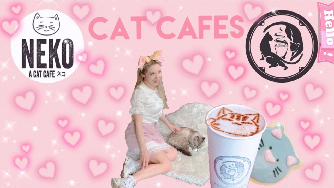 Cat Cafés