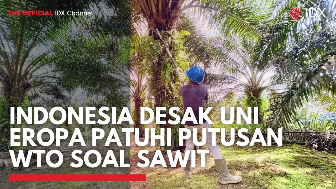Indonesia Desak Uni Eropa Patuhi Putusan WTO soal Sawit | MARKET HIGHLIGHT