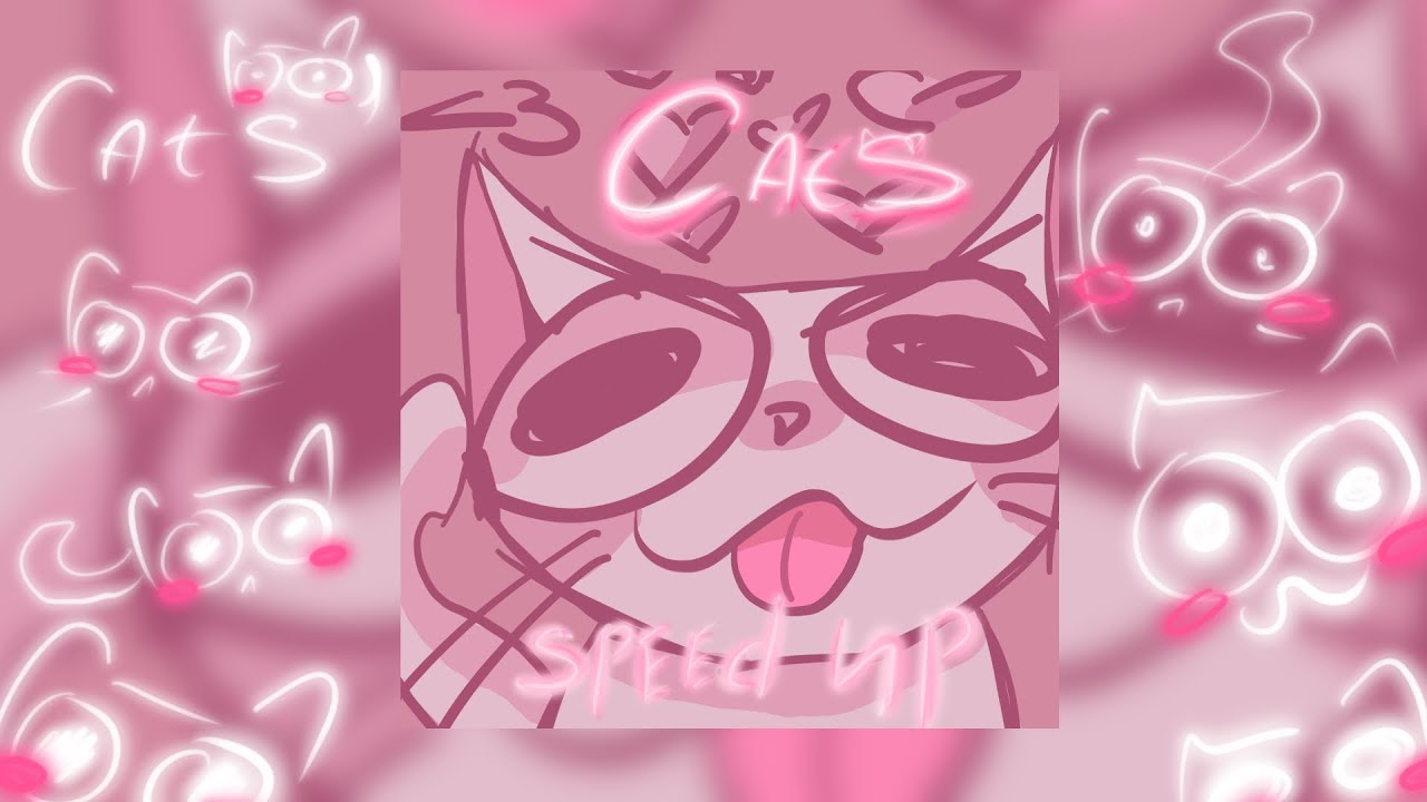 //Cats 🐈// ((speed up))