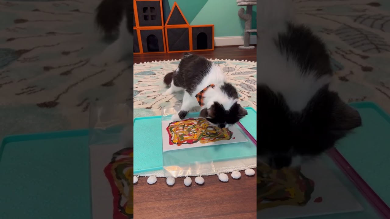 Painting with Phoebe: Jessica’s Canvas ❤️🧡💛💚🤎