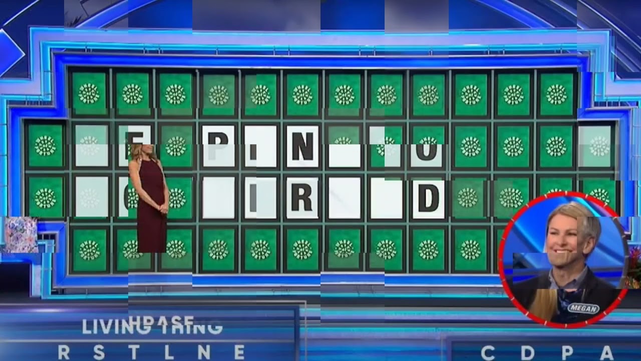Wheel of Fortune’: Army Vet Wins $71,000 After Disaster on Another Game Show