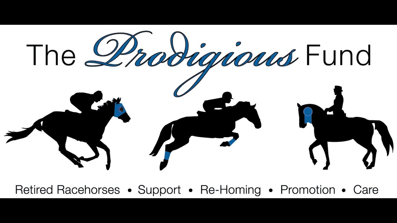 The Prodigious Fund