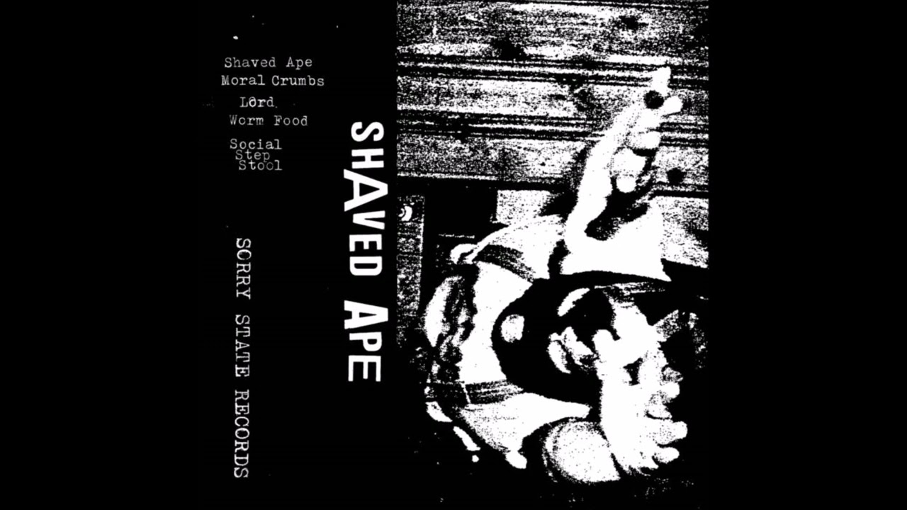 SHAVED APE - Demo [USA - 2022]