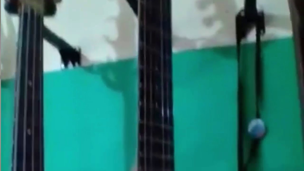 İsmail YK - Şekerim Cover Ali ARIK