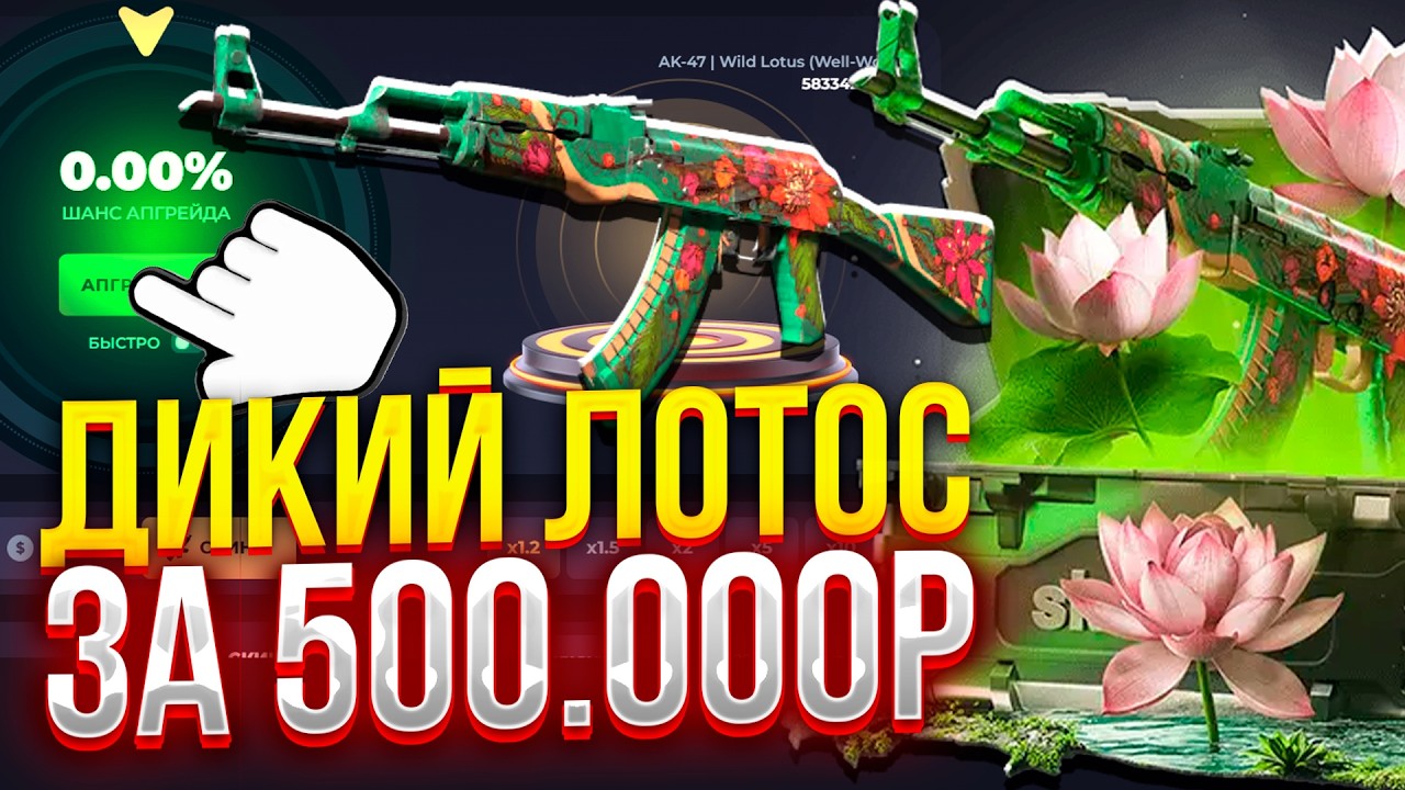 ДИКИЙ ЛОТОС за 500.000₽! КАК ОГРАБИТЬ SKINBOX!? ТАКТИКА ДЛЯ СКИНБОКС!