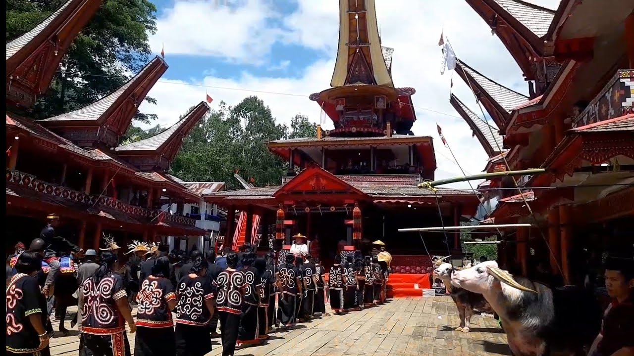 RAMBU SOLO' - SEREALE TIKALA TORUT - P1