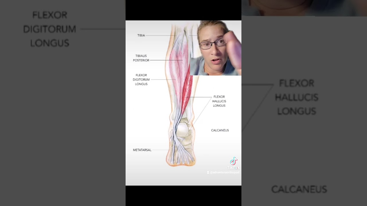 Ortho talks FHL tendinitis AKA 
