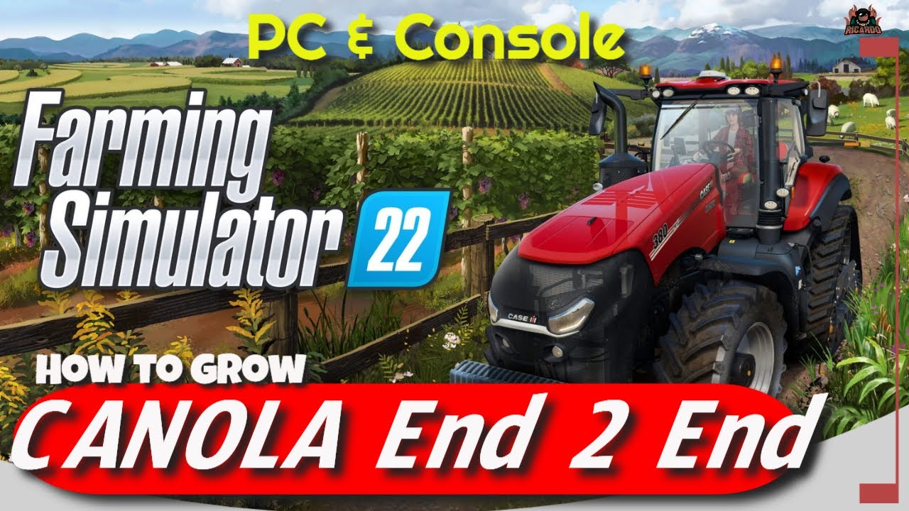 Как выращивать рапс от начала до конца // Farming Simulator 22
