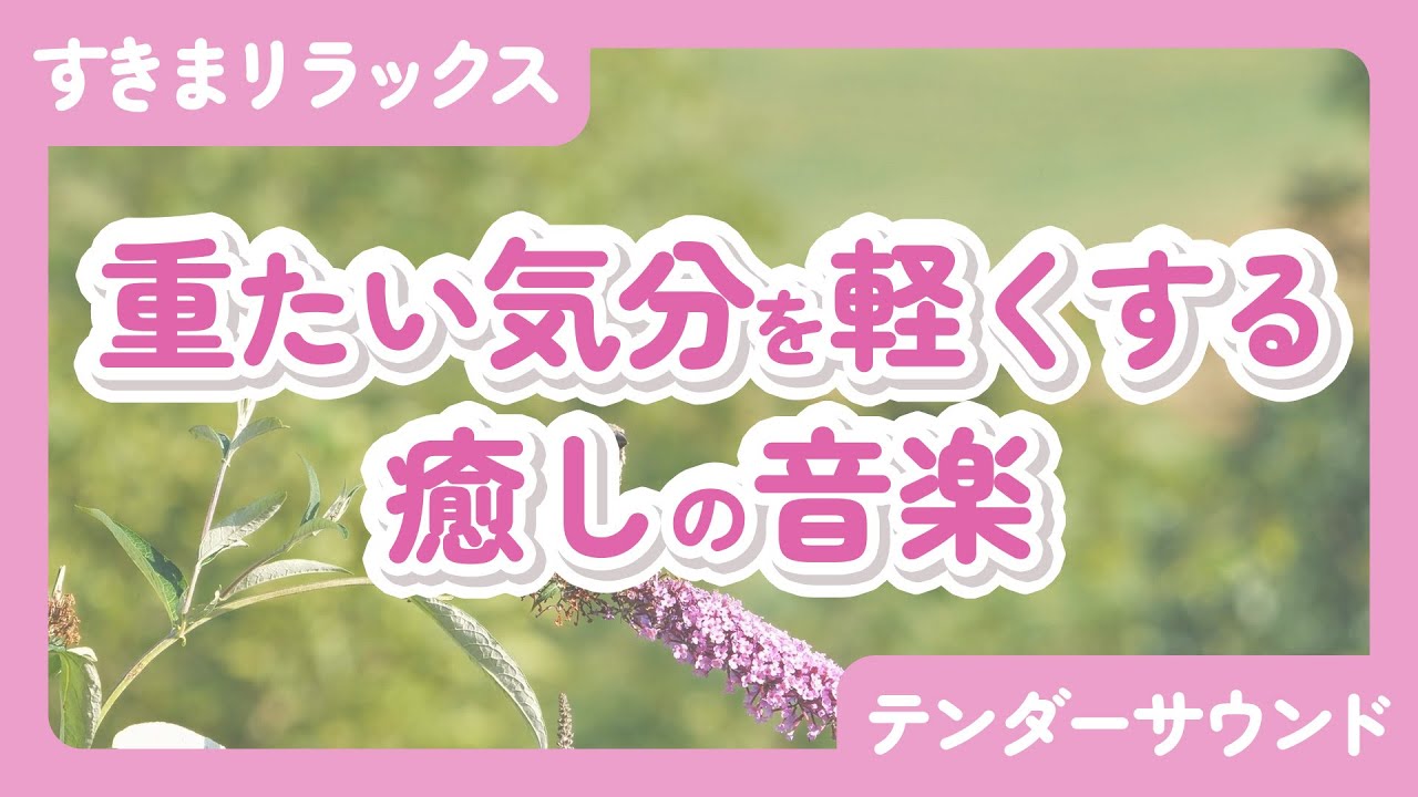 【Sukima Relax】Soothing music to lighten a heavy mood  [TENDER TONE]