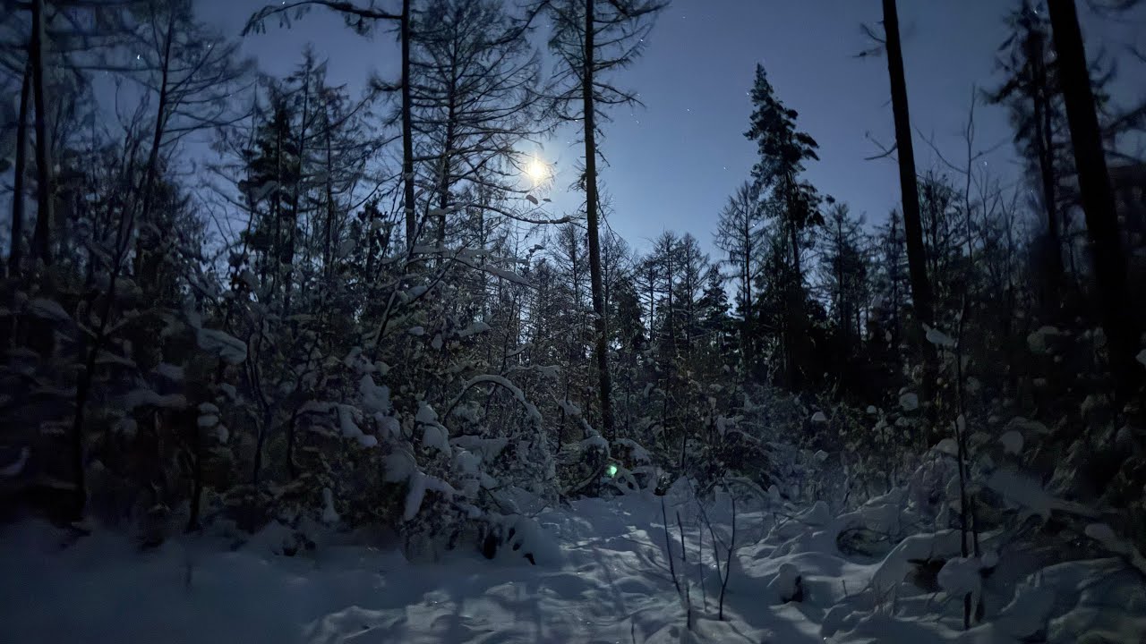 🥶Kalte Nacht im Wald -7.5°Celsius❄️