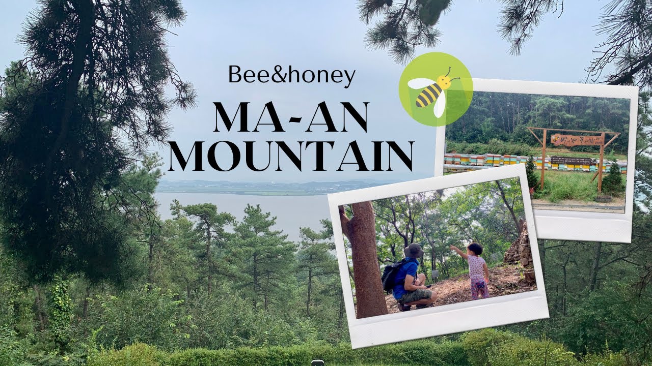 Ma-an Mountain Pyeongtaek Lake Trail 마안산 | #2 Vlog South Korea