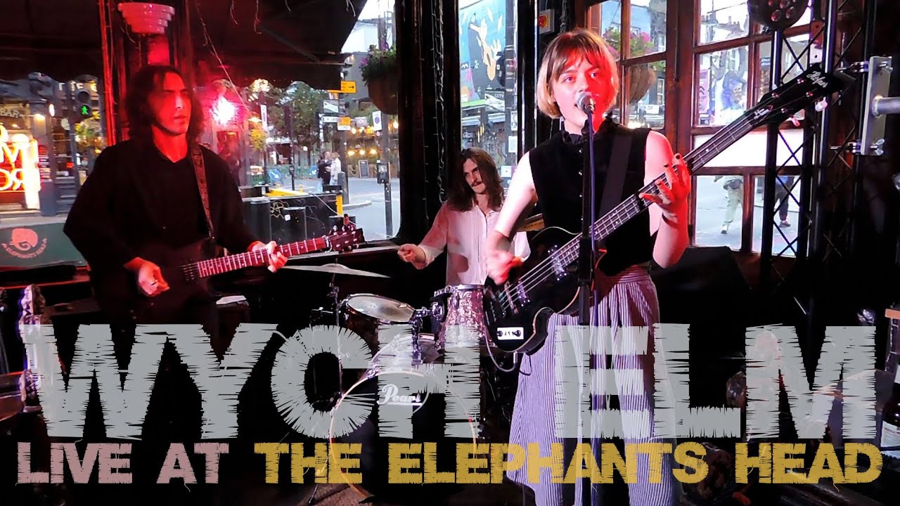 Wych Elm @ The Elephants Head 04/06/25