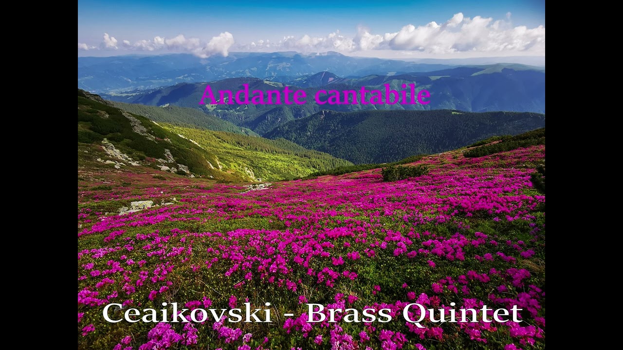 Ceaikovski - Andante cantabile (arr. Gh. Brănici)