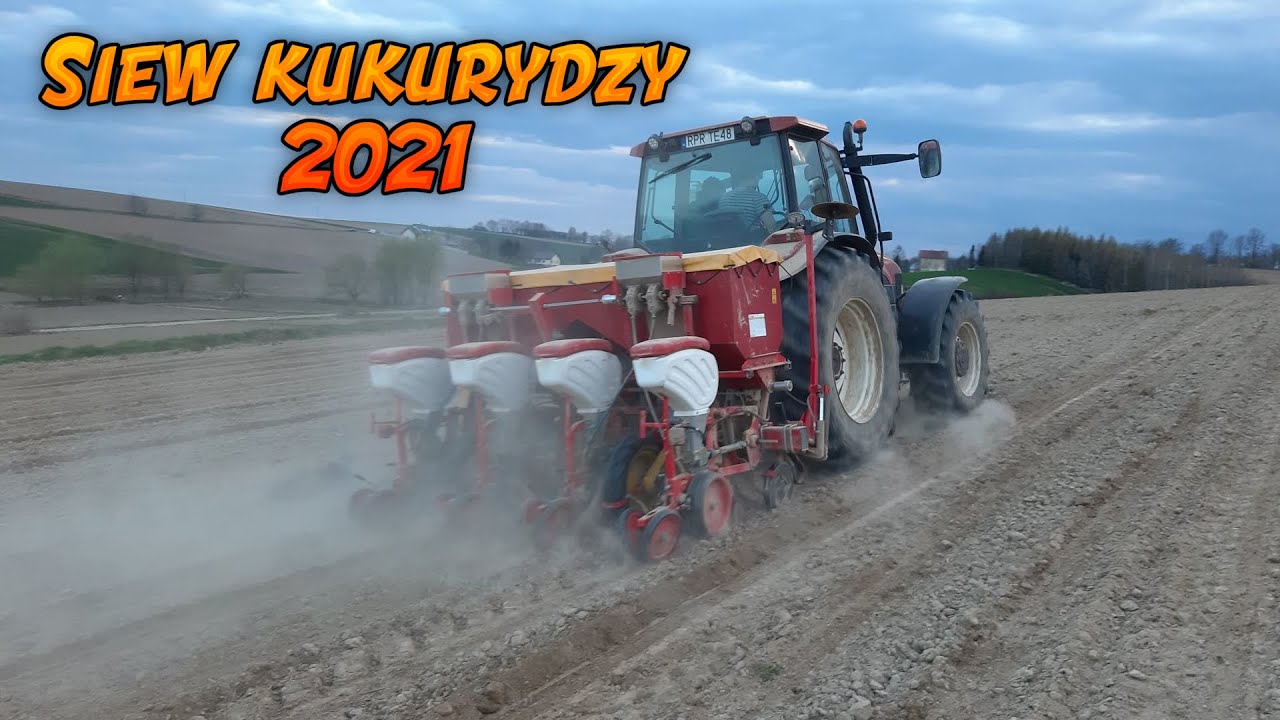 ★ Siew kukurydzy 2021 z najlepszą ekipą ★ NEW HOLLAND M135 ㋡ MrDawido