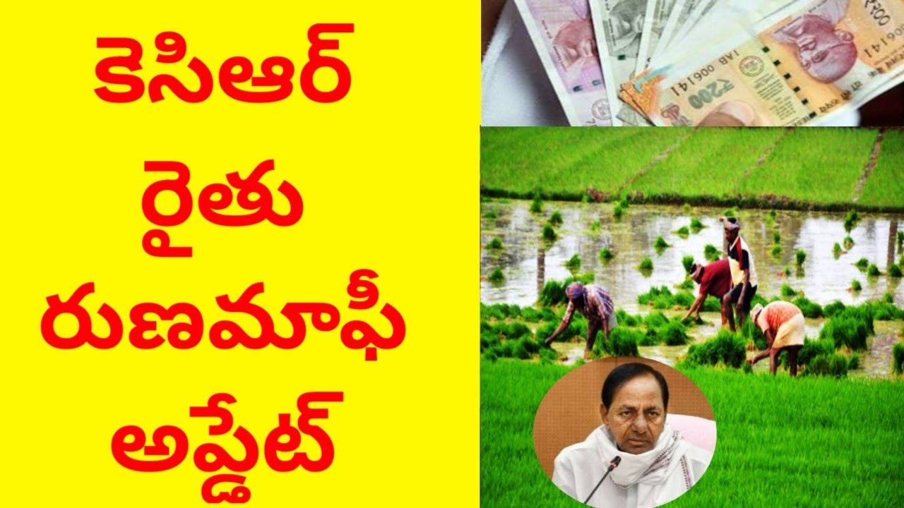Kcr rythu runamafi news today | runamafi breaking news | runamafi update