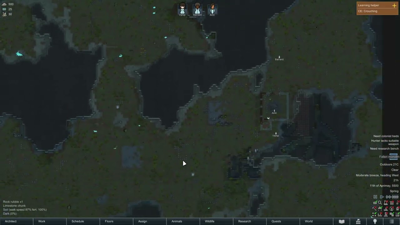 new rimworld session