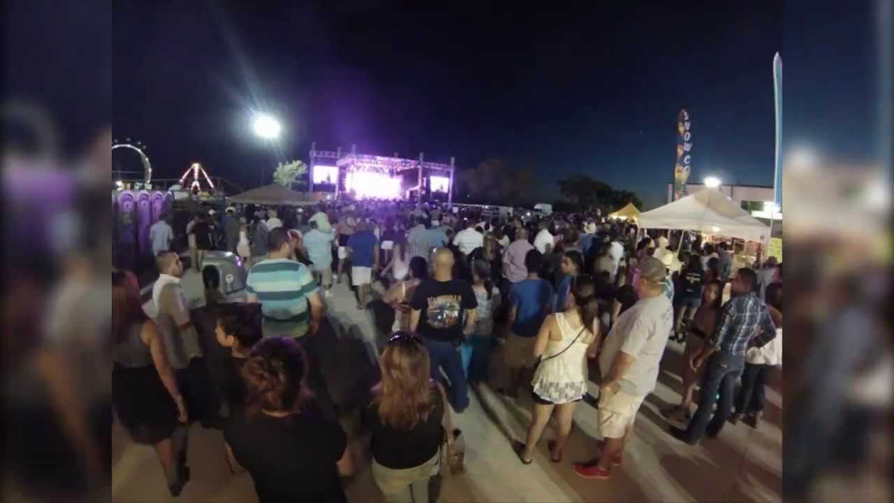 Palomino Fest 2013
