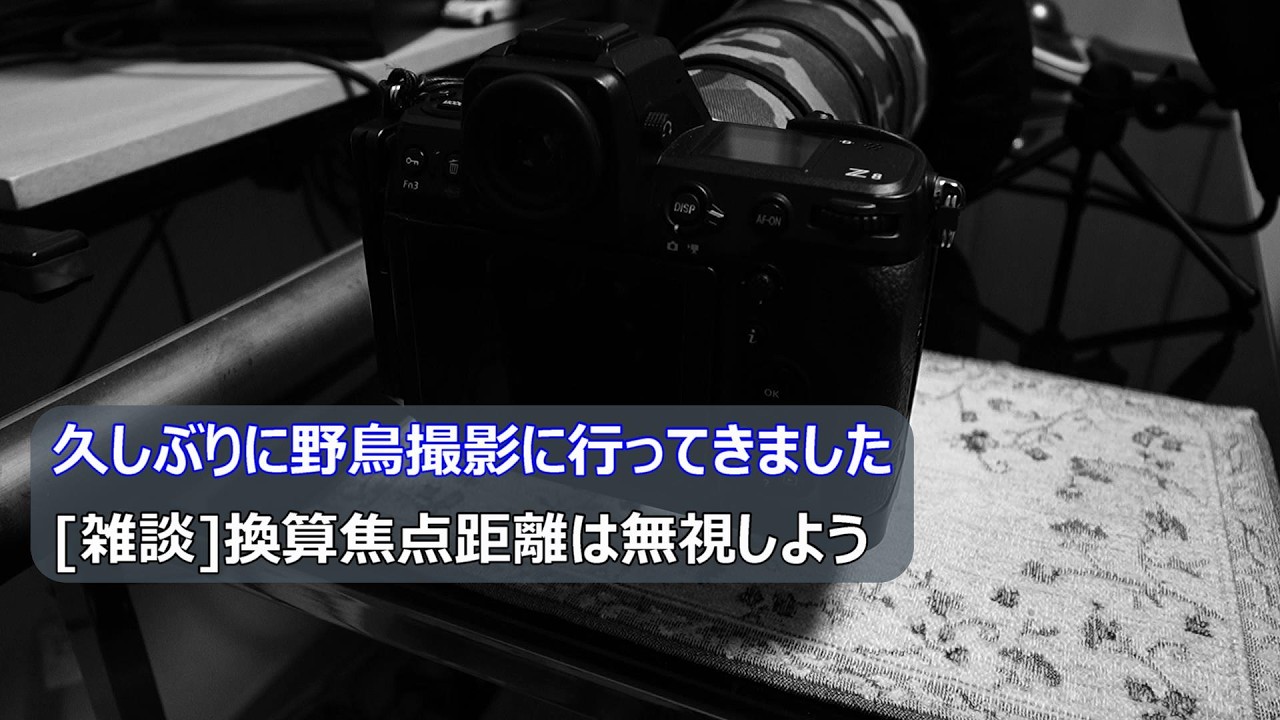 久しぶりに野鳥撮影に行ってきました ｜ Z8+800mmf6.3