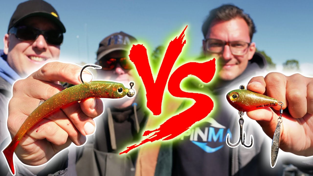 Lieblingsköder vs. SpinMad im Sommer – Verlierer muss ins Wasser 😱