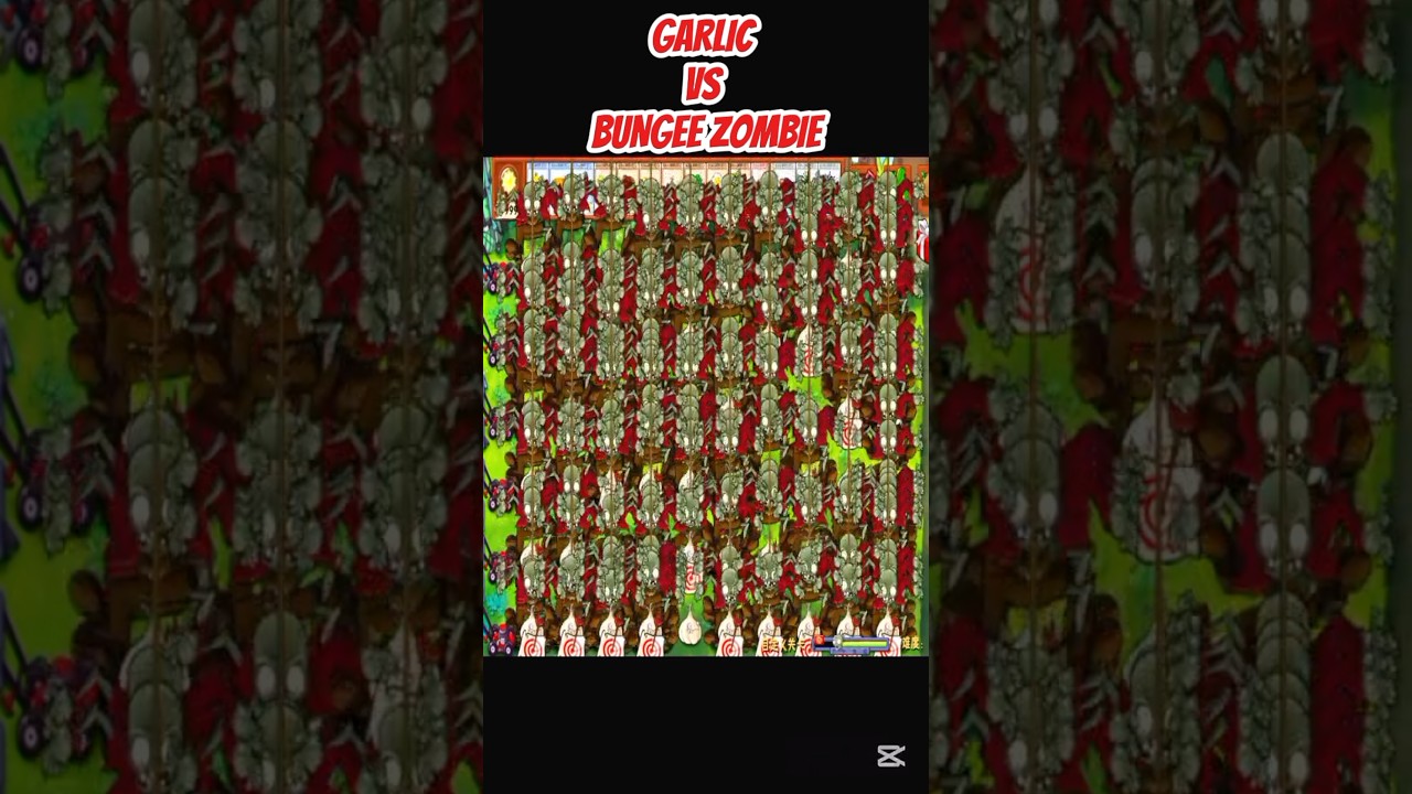 *GARLIC VS BUNGEE ZOMBIE*