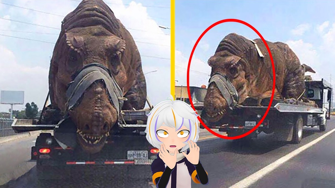 10 Dinosaurios Atrapados en la Cámara en la Vida Real | ChuyMine REACCIONA a BÚHO SABIO