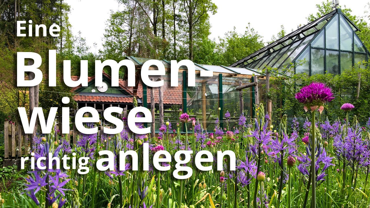 Eine Blumenwiese richtig anlegen