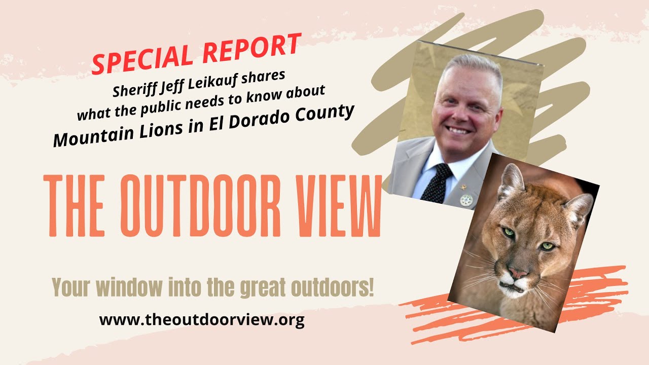 Find out what YOU MUST KNOW about mountain lions in El Dorado County.