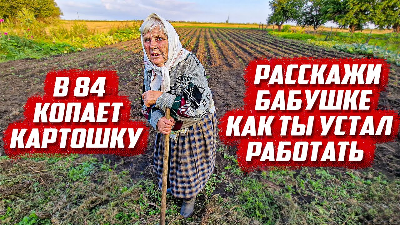 Мечты не сбылись... | Орловская обл. Кромской р/н.