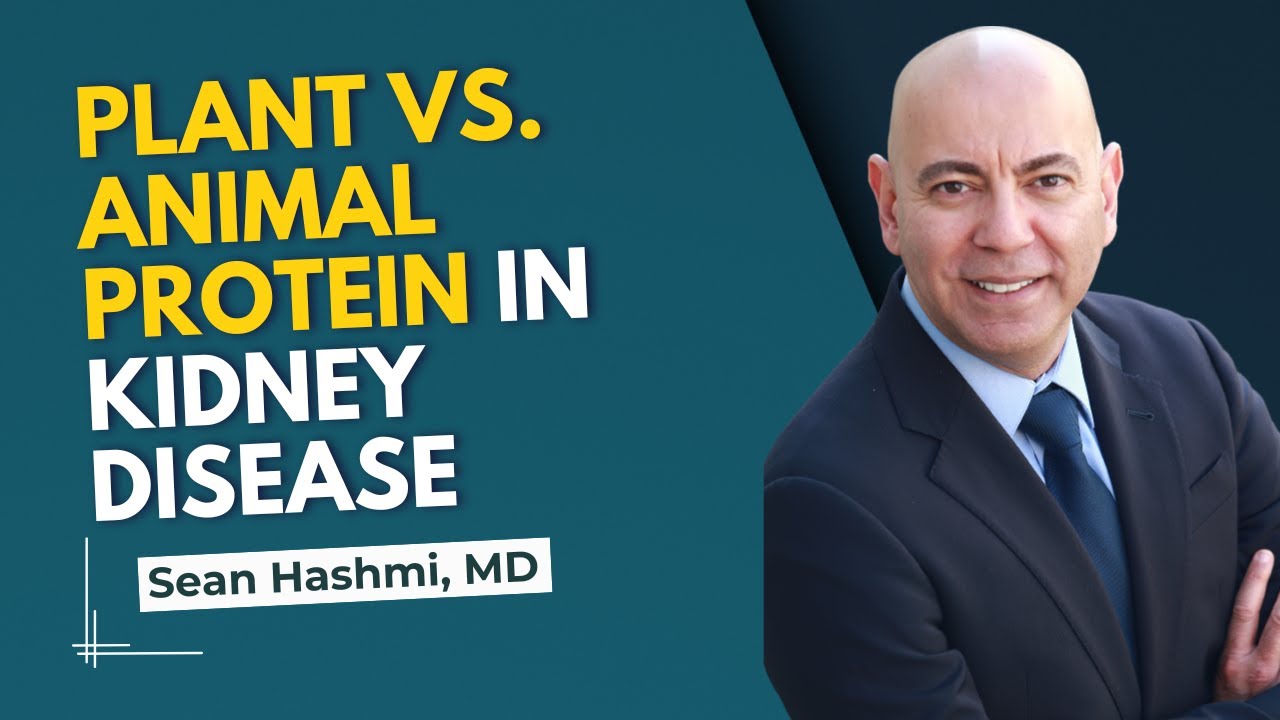 Protein & Kidney Health: Why Plant Protein Is Superior for CKD Patients | Dr. Sean Hashmi