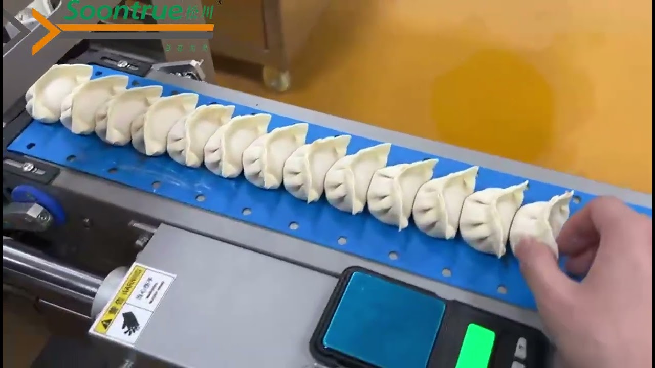 【小型饺子机】#dimsumfrozen #dumplingmakingmachine #frieddumplings #dumplingmaker #dumplings