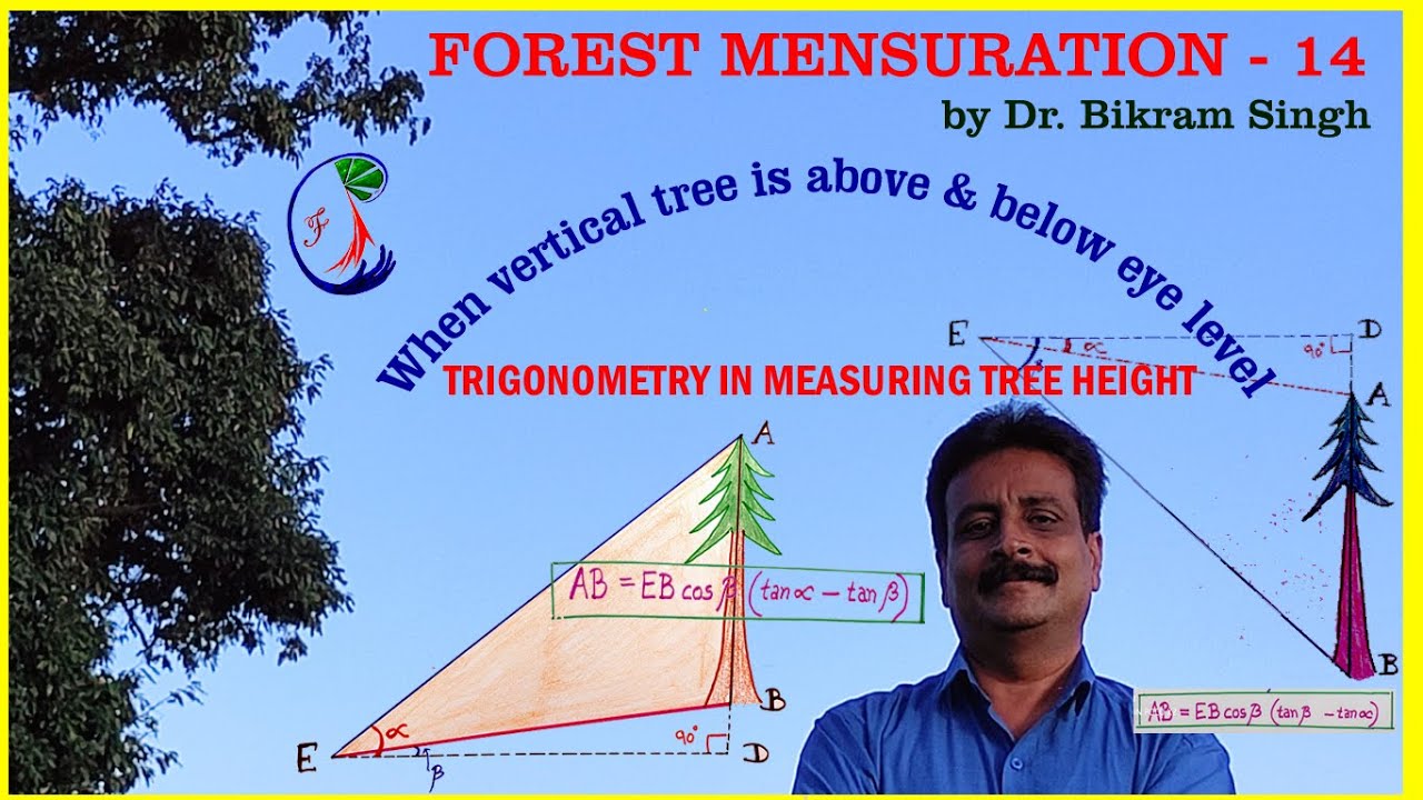 Forest Mensuration -14. Vertical Tree height measurement when tree is above and  below eye level.