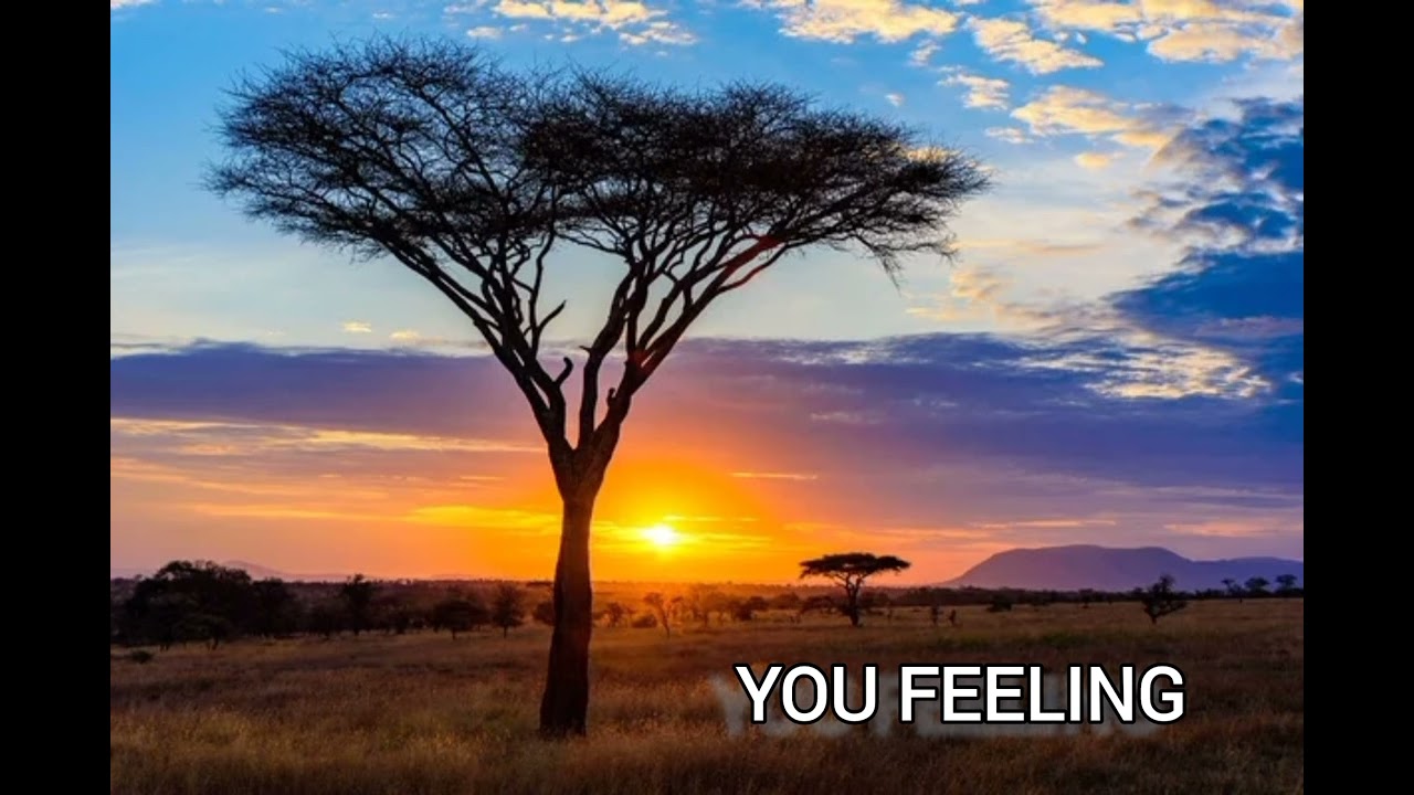 🎶 YOU FEELING – DJ ATIG 🎶 2026 Afro house 