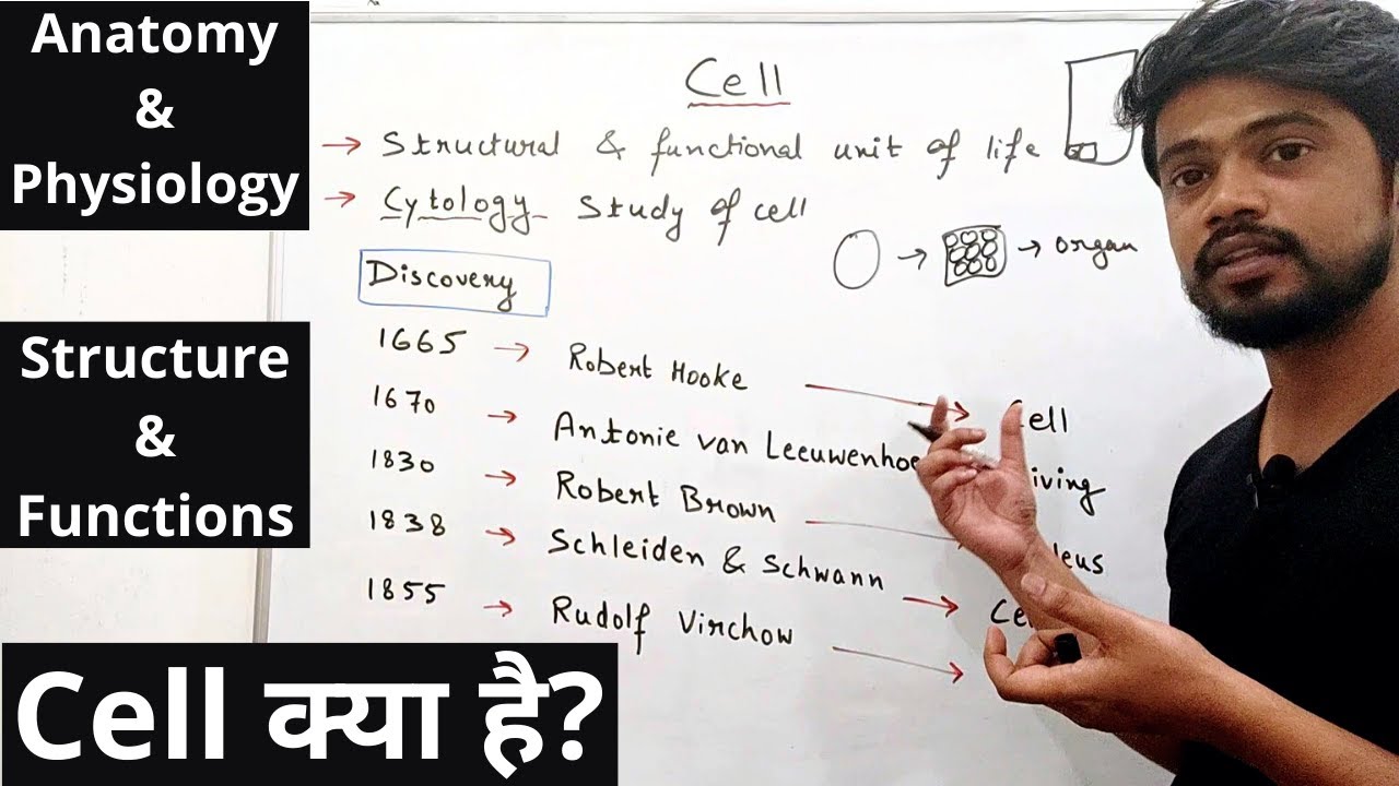 Cell | Structural and Functional unit of life | Cell Organelles | Structure |  Function | Hindi