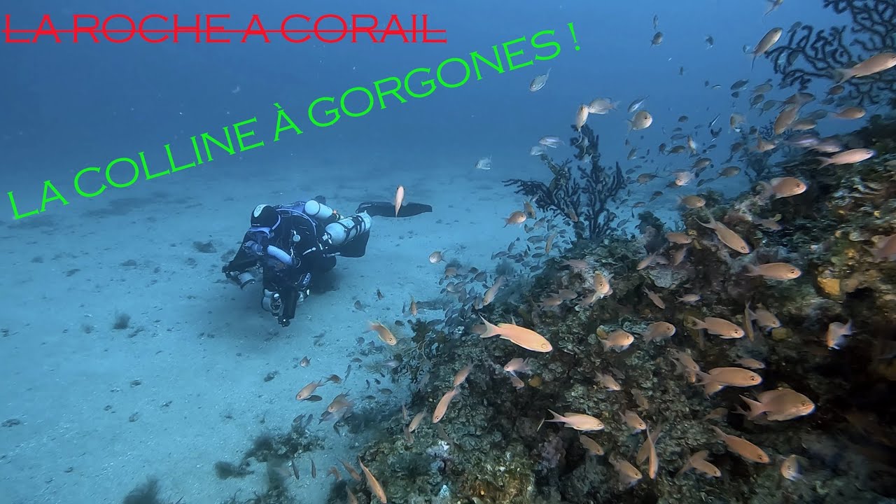 [EXPLORATION - CCR TRIMIX] -49m sur un nouveau site: la colline à Gorgones 🤣