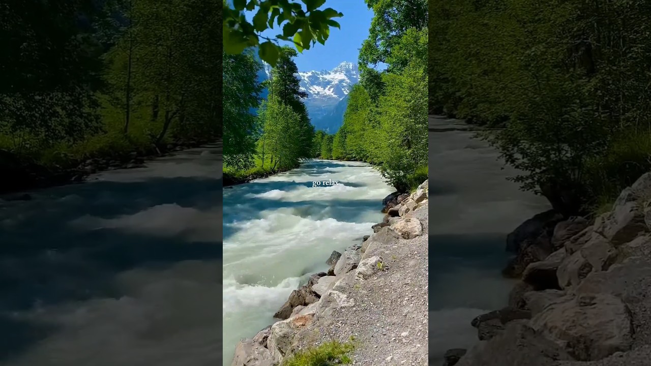 Need a break? Let nature calm your mind 🌿✨ 