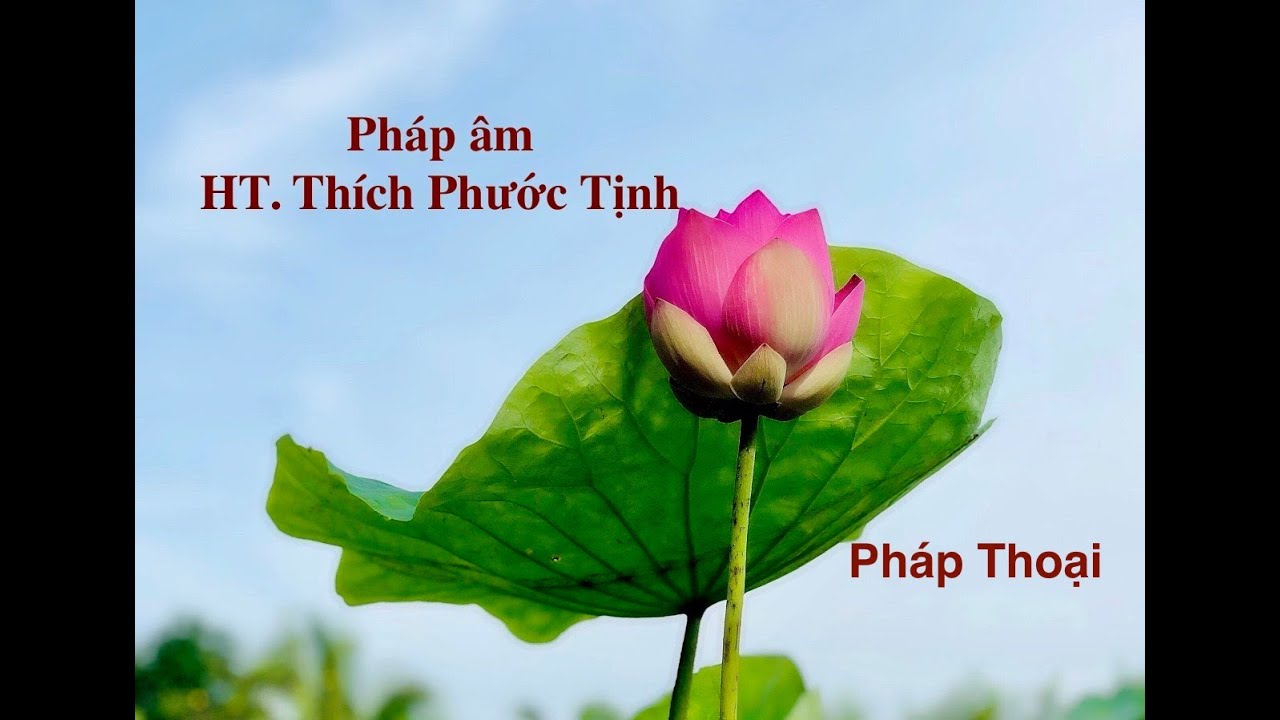 NHÌN RÕ NĂM UẨN