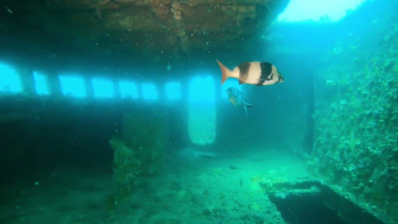 HMAS Hobart Dive with Flinders Uni Underwater Club