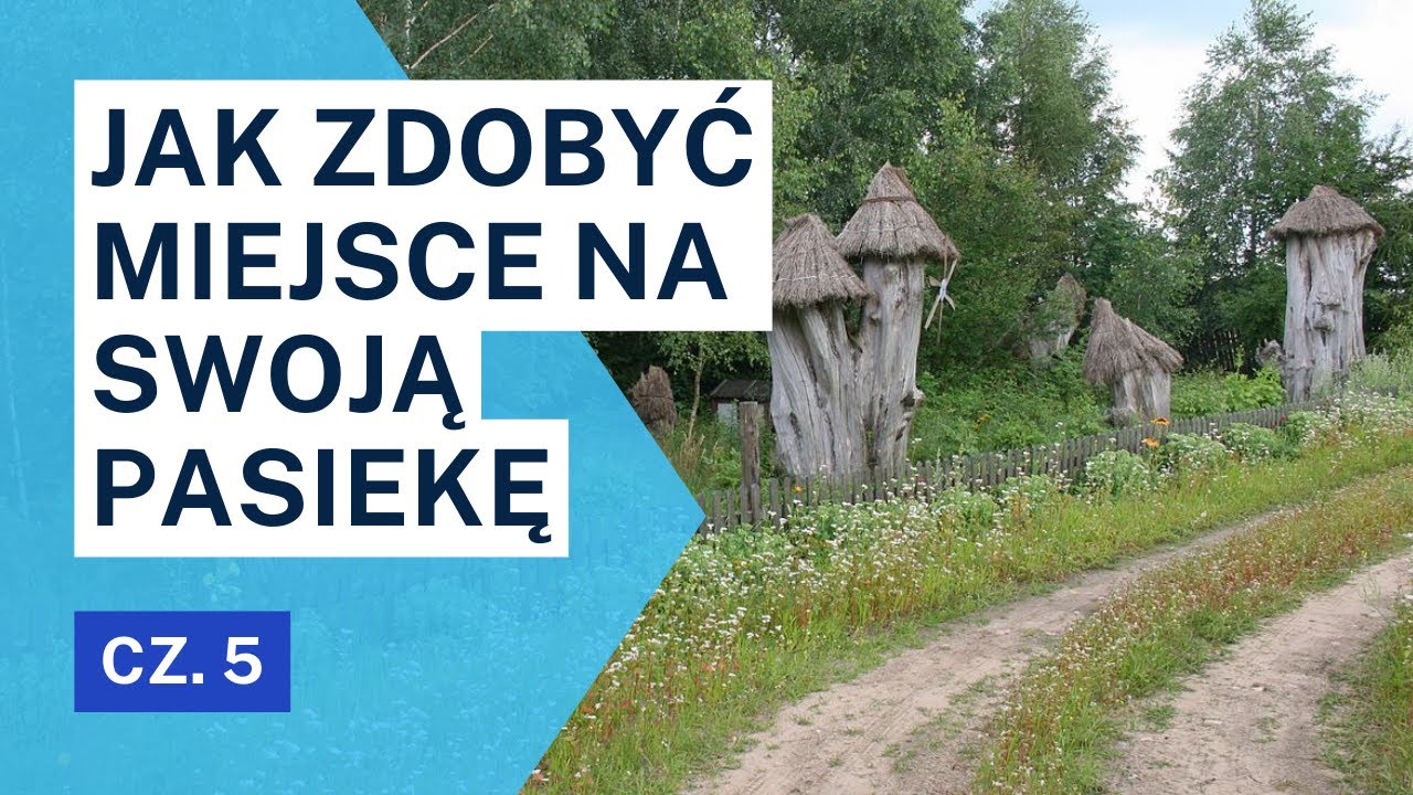 Jak zdobyć miejsce na swoją pasiekę ? cz. V
