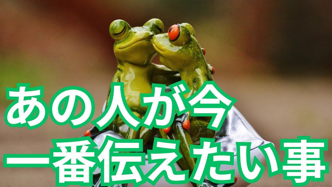 【回復の時❤️‍🩹】あの人は今頑張ってます💪🏻