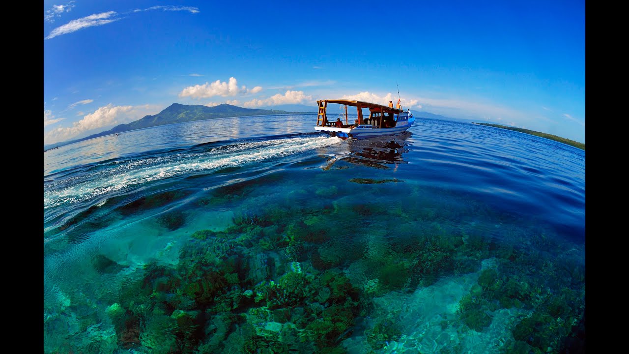 Diving in Bunaken, Indonesia
