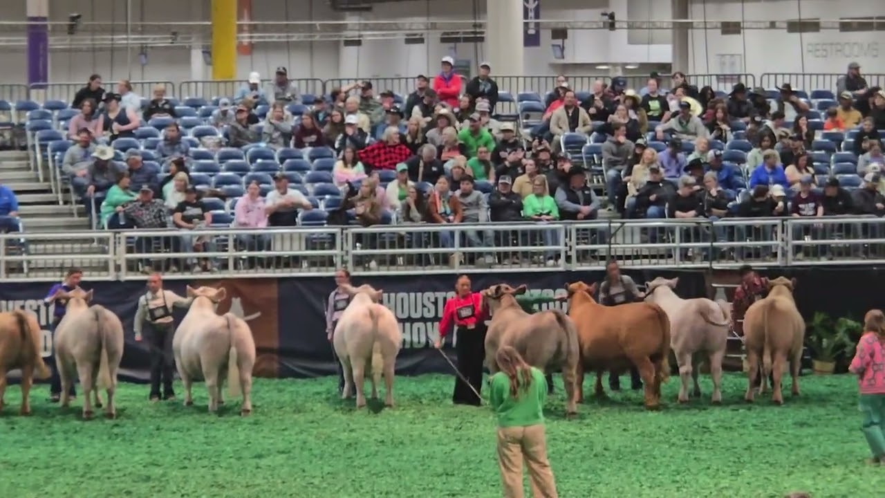 Rodeo Houston TX